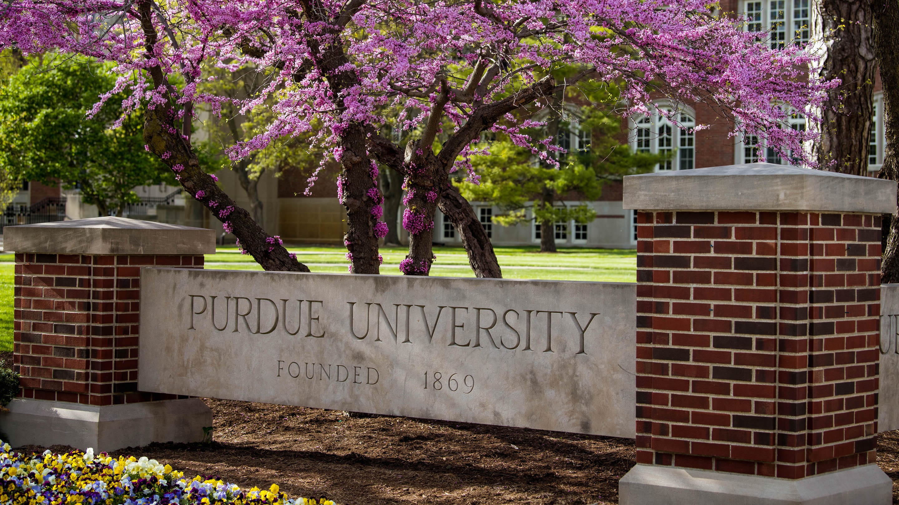 Soy Candles and More from The Candle Factory of Grand Traverse